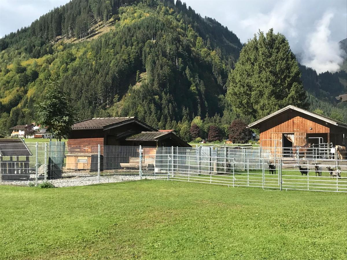 Апартаменты Pony-Ziegen-Hasen-Ranch Бихльбах Экстерьер фото