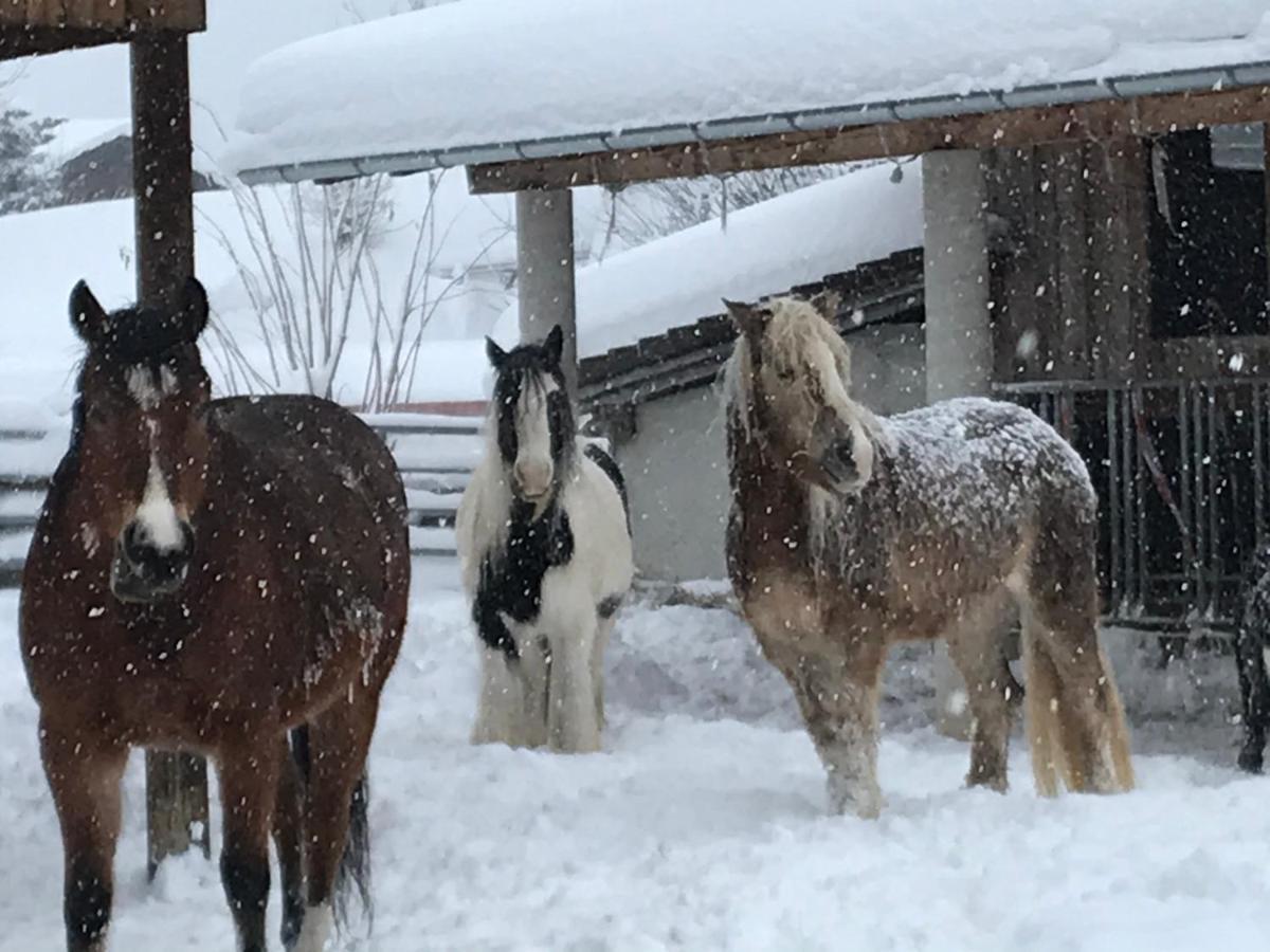 Апартаменты Pony-Ziegen-Hasen-Ranch Бихльбах Экстерьер фото