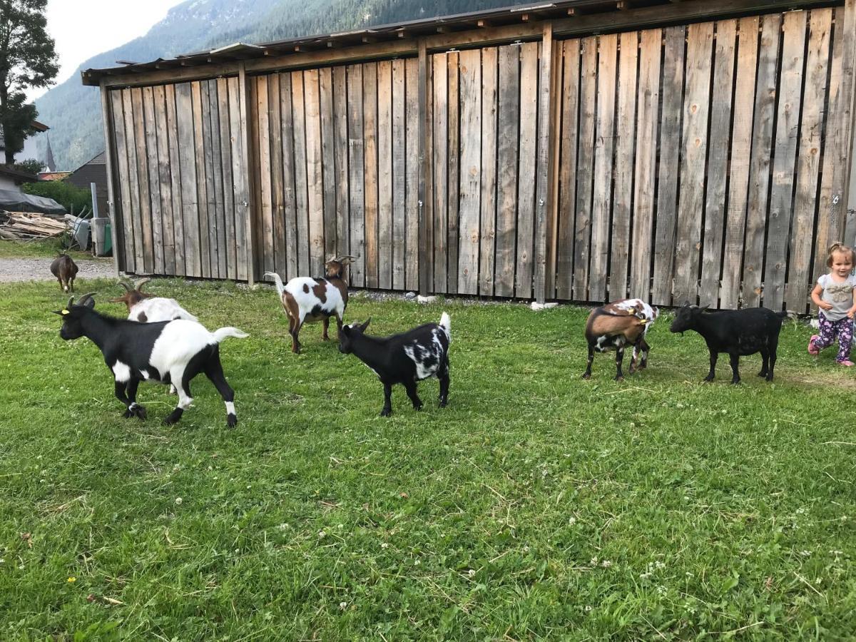 Апартаменты Pony-Ziegen-Hasen-Ranch Бихльбах Экстерьер фото